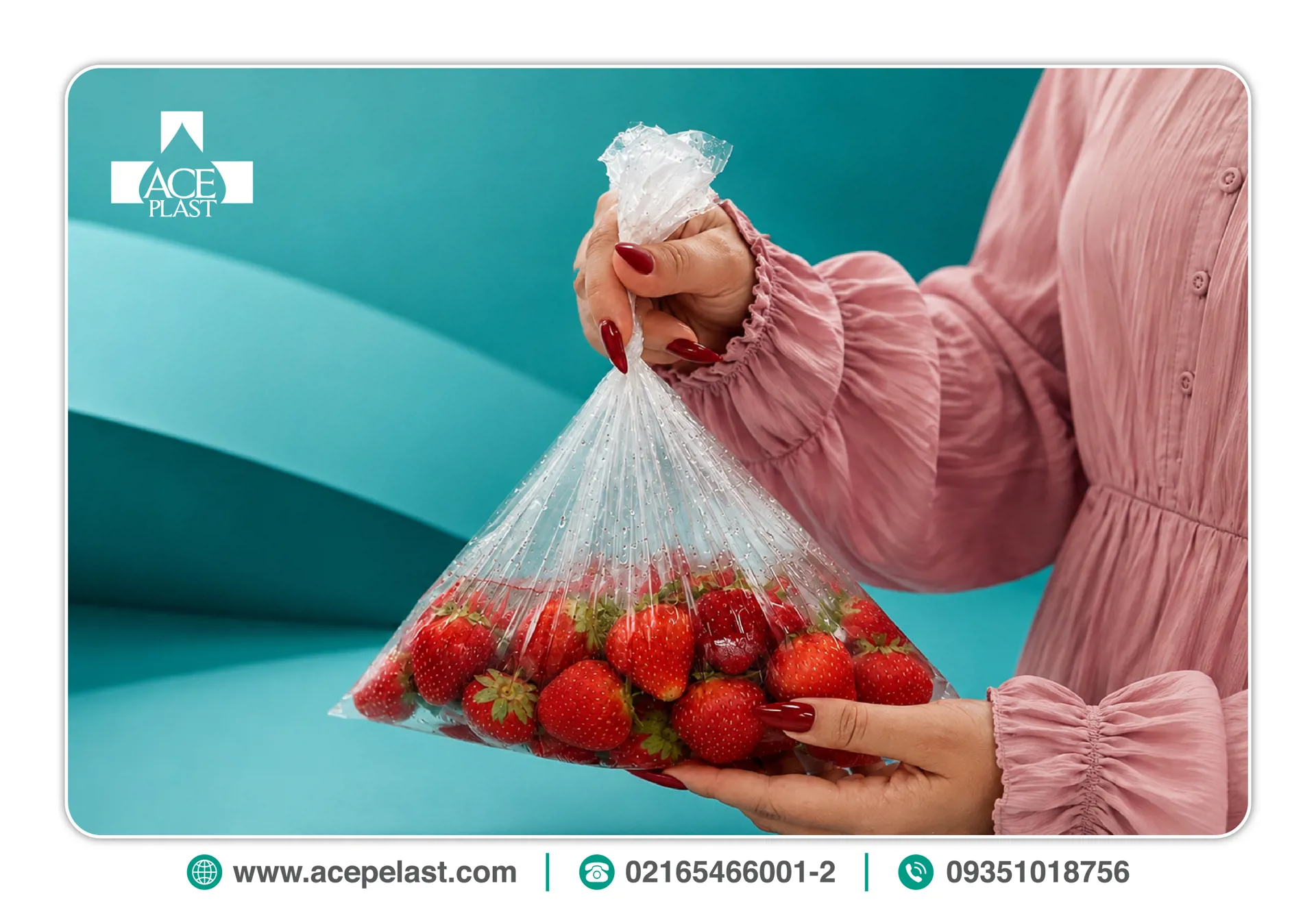 مشخصات و معرفی نایلکس فریزر مشخصات و معرفی نایلکس فریزر